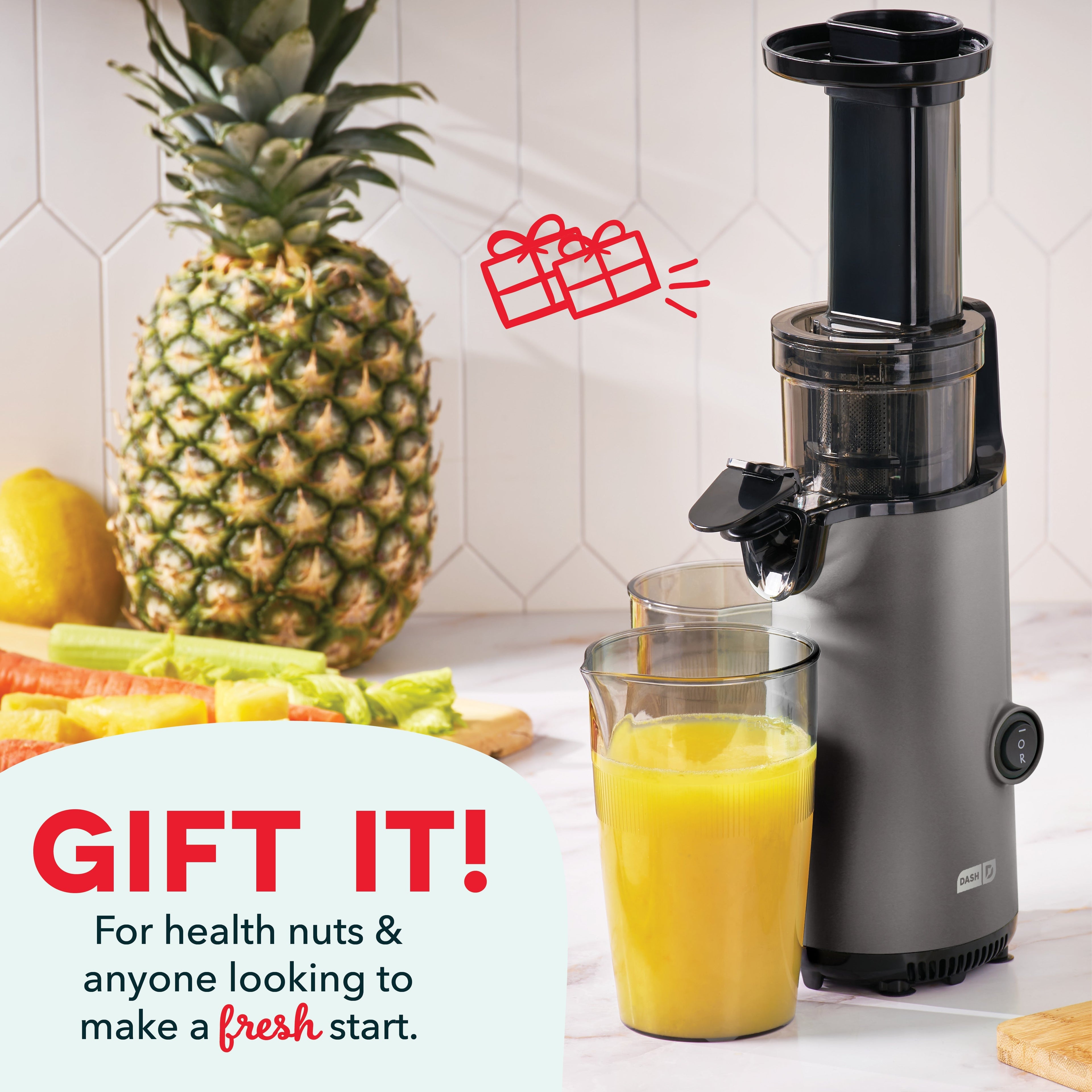 Compact Cold Press Power Juicer